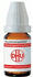 DHU Borax D 12 Globuli (10 g)