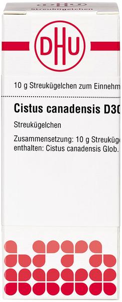 DHU Cistus Canadensis D 30 Globuli (10 g)