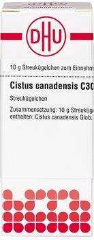 DHU Cistus Canadensis C 30 Globuli (10 g)