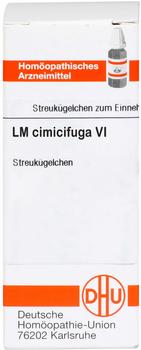 DHU Lm Cimicifuga VI Globuli (5 g)