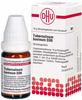 PZN-DE 04240824, DHU-Arzneimittel DHU Tuberculinum Bovinum D 30 Gl Globuli 10 g,