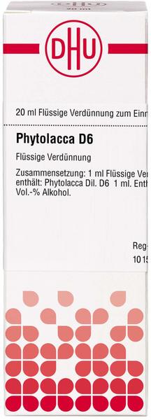 DHU Phytolacca D 6 Dilution (20 ml)