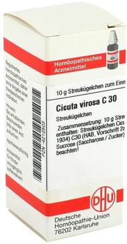 DHU Cicuta Virosa C 30 Globuli (10 g)