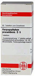 DHU Harpagophytum Proc. D 6 Tabletten (80 Stk.)