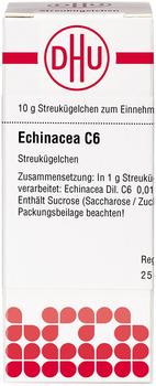 DHU Echinacea Hab C 6 Globuli (10 g)