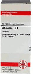 DHU Echinacea Hab D 1 Tabletten (80 Stk.)