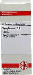 DHU Symphytum D 6 Tabletten (80 Stk.)