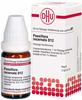 PZN-DE 02619620, DHU-Arzneimittel PASSIFLORA INCARNATA D12, 20 ml, Grundpreis:...