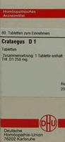 CRATAEGUS D 1 Tabletten 80 St