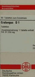 DHU Crataegus D 1 Tabletten (80 Stk.)