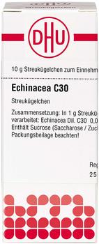 DHU Echinacea Hab C 30 Globuli (10 g)