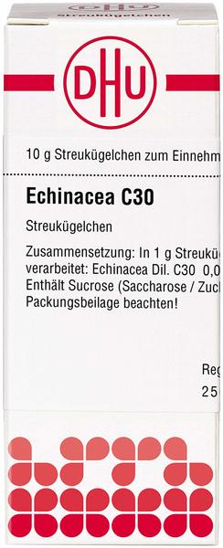 DHU Echinacea Hab C 30 Globuli (10 g)