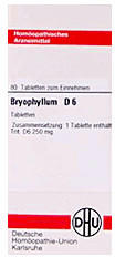 DHU Bryophyllum D 6 Tabletten (80 Stk.)