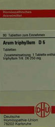 DHU Arum Triphyllum D 6 Tabletten (80 Stk.)