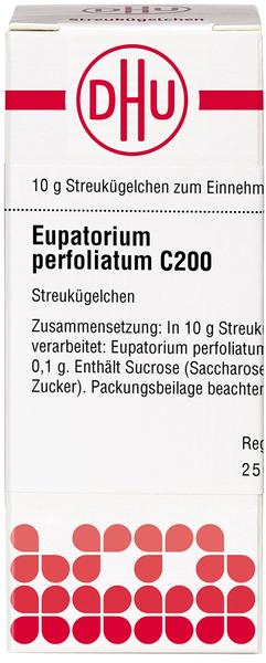 DHU Eupatorium Perfoliatum C 200 Globuli (10 g)