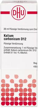 DHU Kalium Carbonicum D 12 Dilution (20 ml)