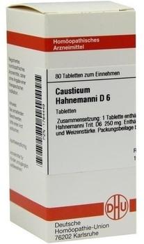 DHU Causticum Hahnemanni D 6 Tabletten (80 Stk.)