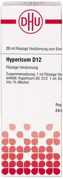 DHU Hypericum D 12 Dilution (20 ml)