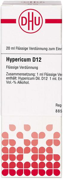 DHU Hypericum D 12 Dilution (20 ml)