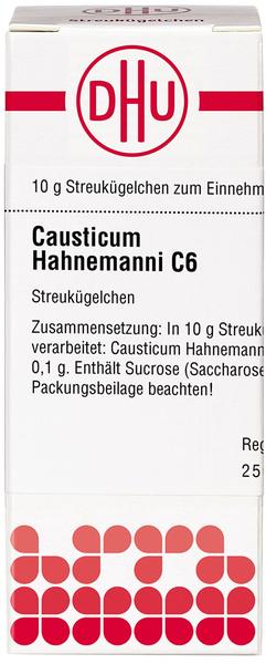 DHU Causticum Hahnemanni C 6 Globuli (10 g)