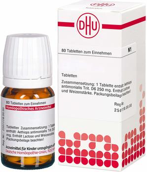 DHU Rhus Tox. D 6 Tabletten (80 Stk.)