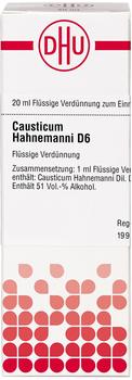 DHU Causticum Hahnemanni D 6 Dilution (20 ml)