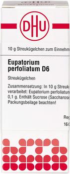 DHU Eupatorium Perfoliatum D 6 Globuli (10 g)