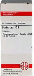 DHU Echinacea Hab D 2 Tabletten (80 Stk.)
