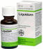 DHU Angioton H Liquidum (30 ml)