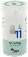 Biochemie Pfl&uuml;ger 11 Silicea D12 Pulver