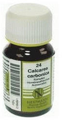 Nestmann Calcarea Carbonica Komplex Tabletten Nr. 24 (120 Stk.)