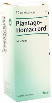Heel Plantago Homaccord Tropfen (30 ml)