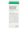 PZN-DE 00855641, Biologische Heilmittel Heel Ranunculus Homaccord Tropfen 30 ml,