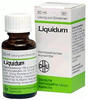 PZN-DE 00253965, DHU-Arzneimittel DHU Ignatia Pentarkan H Liquidum 50 ml, Grundpreis: