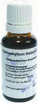 Hanosan Caulophyllum D 6 Dilution (20 ml)