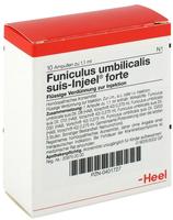 Funiculus Umbilicalis suis Injeel forte 10 St