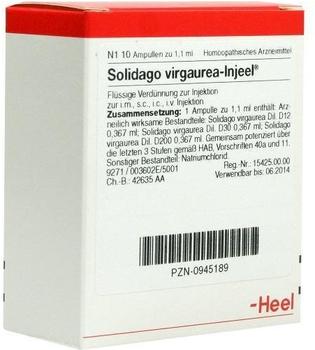 Heel Solidago Virgaurea Injeele (10 Stk.)