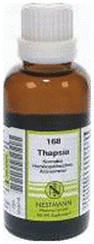 Nestmann Thapsia Komplex Nr. 168 Dilution (20 ml)