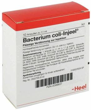 Heel Bacterium Coli Nosoden Injeele 1,1 ml (10 Stk.)