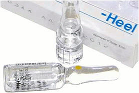 Heel Arteria Suis Injeele 1,1 ml (100 Stk.)