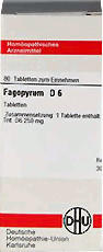 DHU Fagopyrum D 6 Tabletten (80 Stk.)