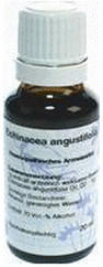 Hanosan Echinacea D 2 Dil. (20 ml)
