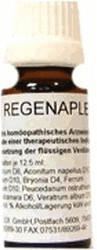 Regenaplex 33/1 Tropfen (15 ml)