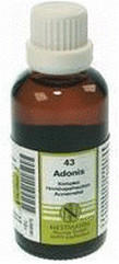Nestmann Adonis Komplex Nr. 43 Dilution (50 ml)