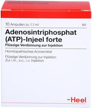 Heel ATP Injeele Forte 1,1 ml (10 Stk.)