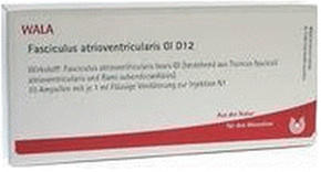 Wala-Heilmittel Fasciculus Atrioventr. Gl D 12 Ampullen (10 x 1 ml)