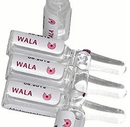 Wala-Heilmittel Corpus Luteum Gl D 4 Ampullen (10 x 1 ml)