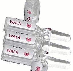 Wala-Heilmittel Diaphragma Pelvis D 5 Ampullen (10 x 1 ml)