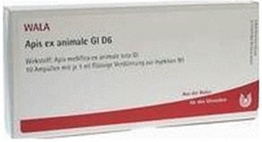 Wala-Heilmittel Apis Ex Animale Gl D 6 Ampullen (10 x 1 ml)