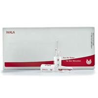 Periosteum GL D 8 Ampullen 10X1 ml